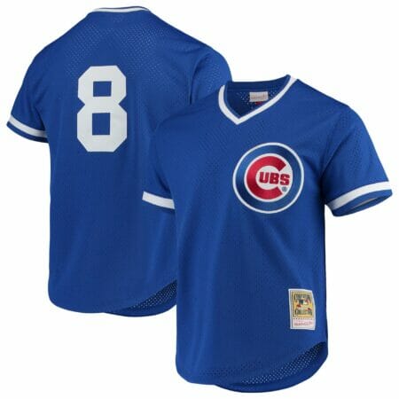 Men's Mitchell & Ness Andre Dawson Royal Chicago Cubs Cooperstown Collection Mesh Batting Practice Jersey