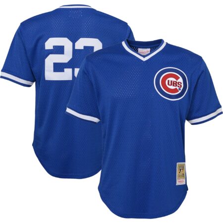 Youth Mitchell & Ness Ryne Sandberg Royal Chicago Cubs Cooperstown Collection Mesh Batting Practice Jersey